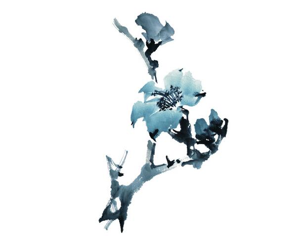 ʲôɫˎ?ɫˎķ