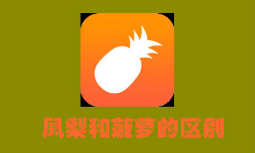 鳳梨和菠蘿的區別,女性吃鳳梨下體會香?