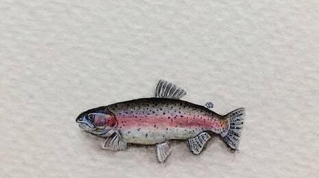 導(dǎo)游舉鯉魚(yú)旗參觀中山陵被怒斥