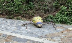 Ůӽ|ù׃׺βLM,¾|ַQʲô
