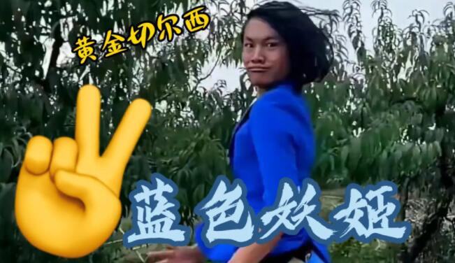 藍色妖姬的花語是什么意思?