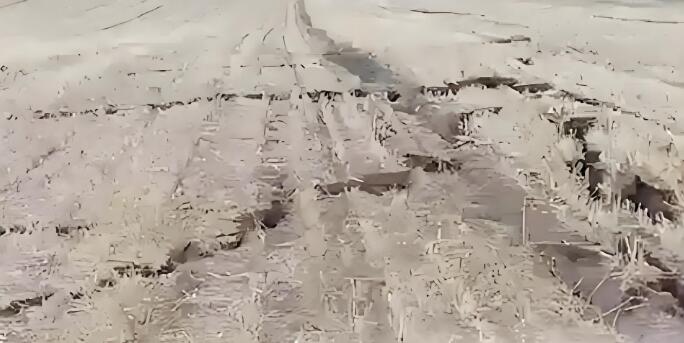 山東棗莊部分耕地不規則裂開