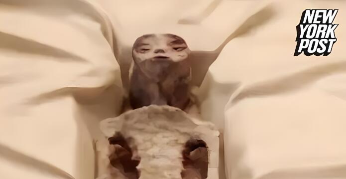 墨西哥國(guó)會(huì)揭曉外星人化石