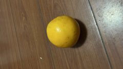 原來丑橘并不是橘子,奇怪的知識又增加了