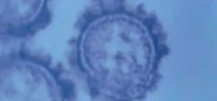 вмȾ(qing),Ч(yng)?